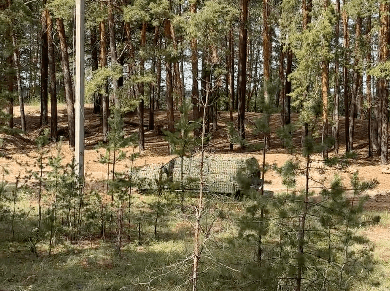 Автомобіль у лісовій місцевості під час зйомки